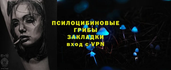 сатива Алексин