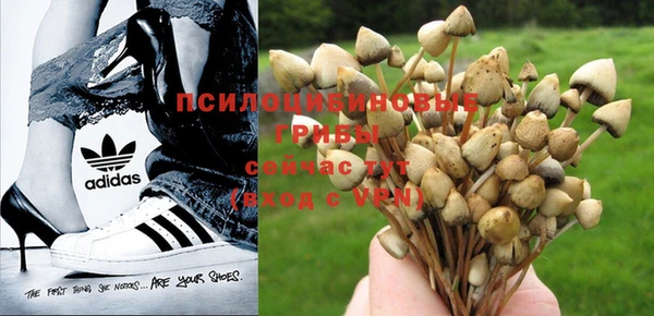 прущая мука Алексеевка