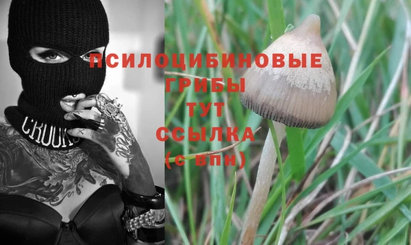 сатива Алексин