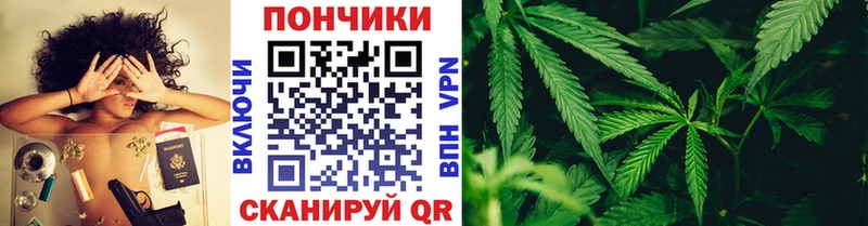 Бошки Шишки гибрид  цена   Сосновый Бор 